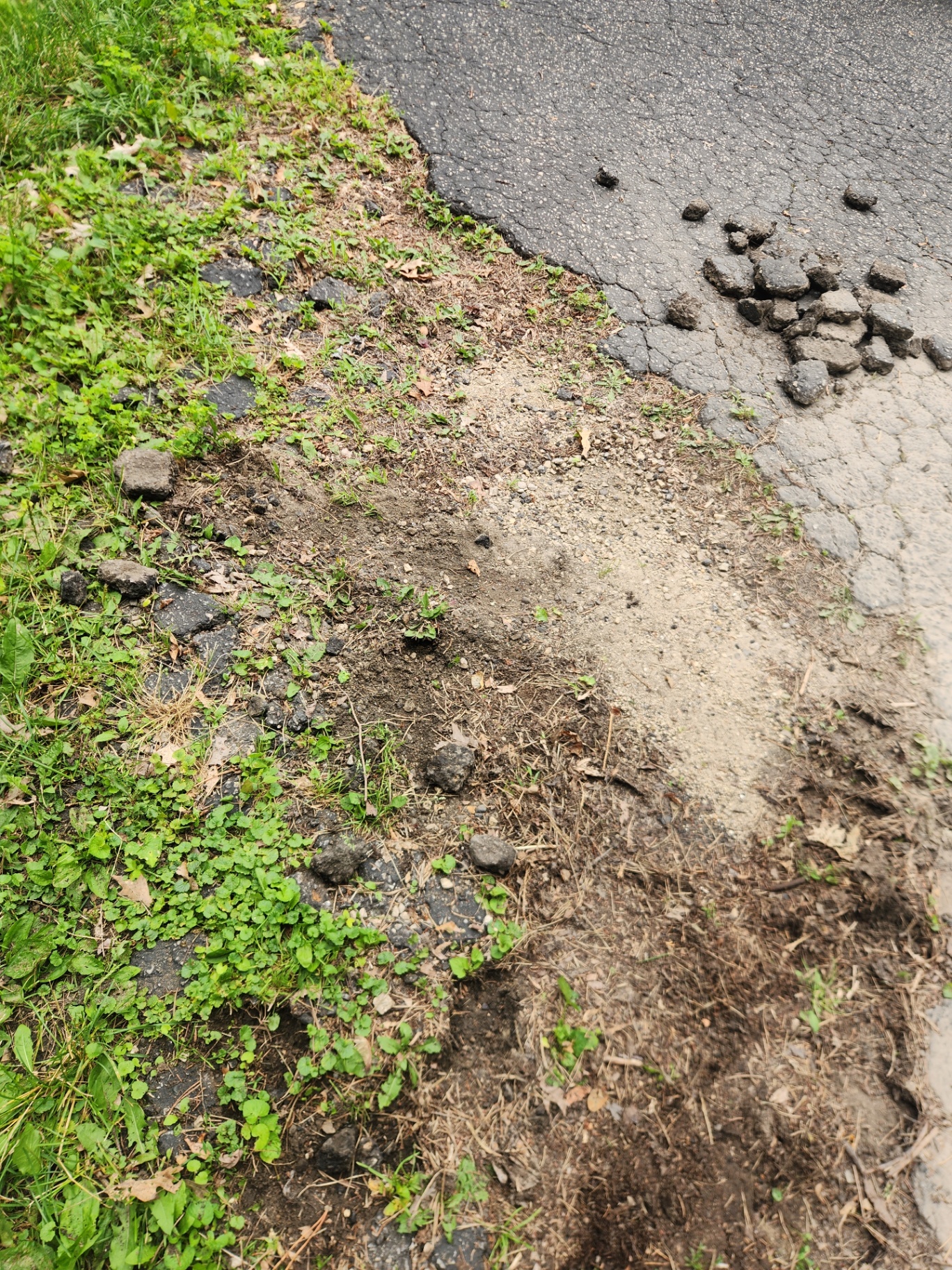 Driveway Pothole Patch — before